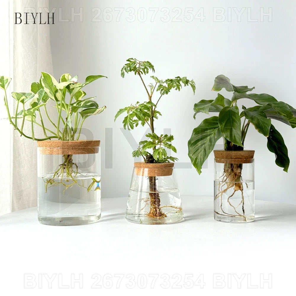 Nordic Hydroponic Plant Vase Creative Volcanic Bottle Transparent Glass Home Decor Vases Tabletop Flower Arrangement Ornaments
