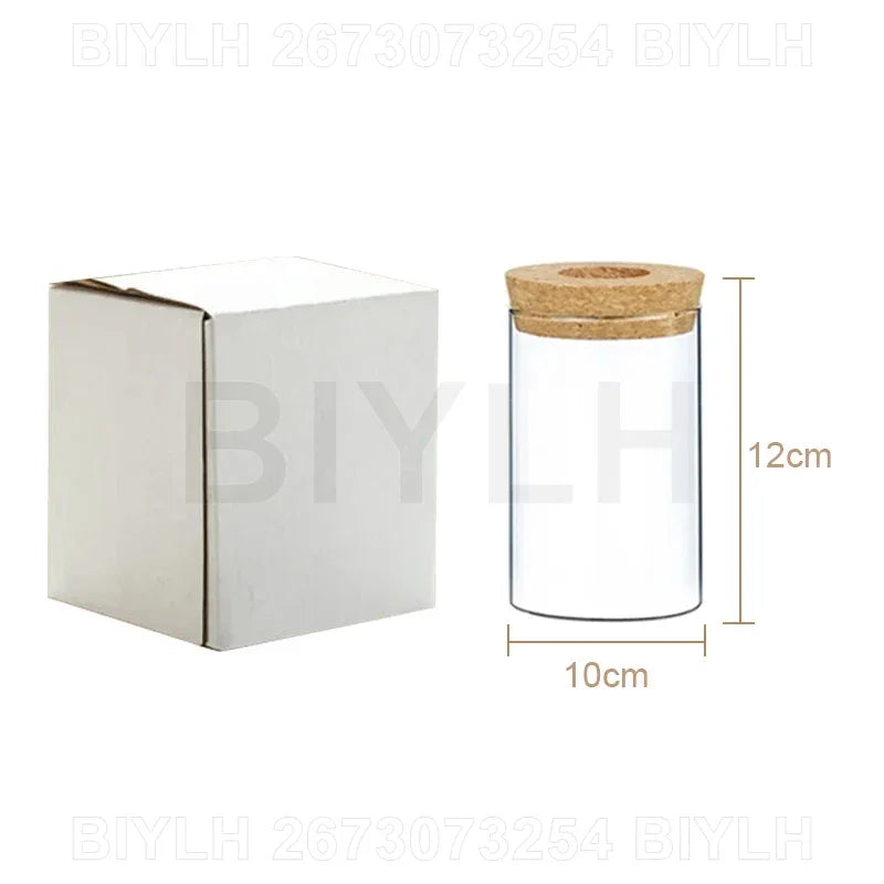 Nordic Hydroponic Plant Vase Creative Volcanic Bottle Transparent Glass Home Decor Vases Tabletop Flower Arrangement Ornaments