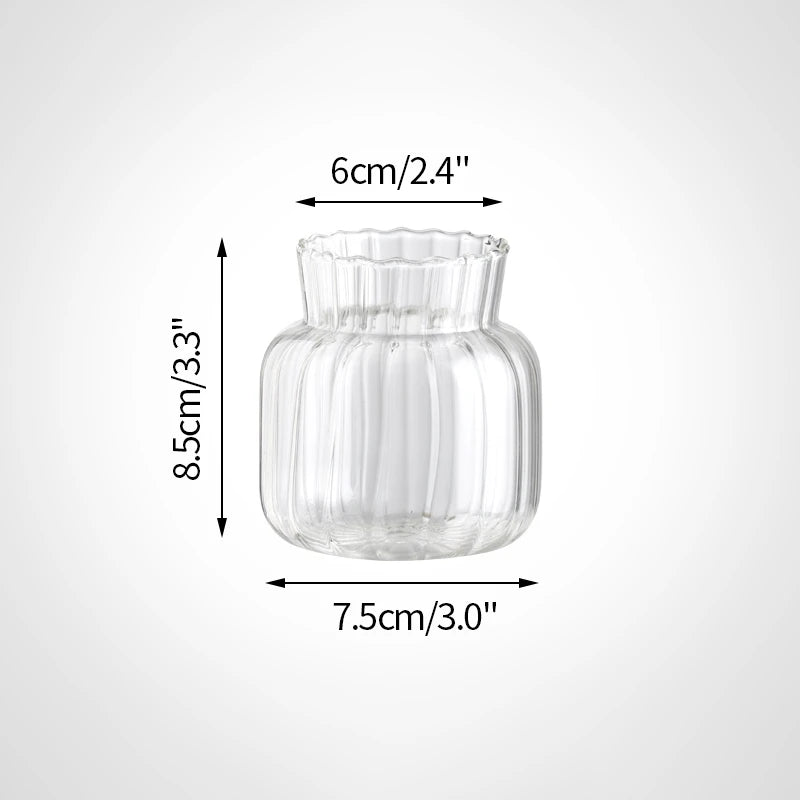 Glass Flower Vase Transparent Hydroponics Plant Vase Flower Bottle
Nordic Desktop Decor Vases Home Flowers Decoartion Crafts