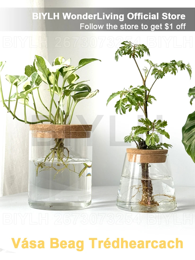 Nordic Hydroponic Plant Vase Creative Volcanic Bottle Transparent Glass Home Decor Vases Tabletop Flower Arrangement Ornaments