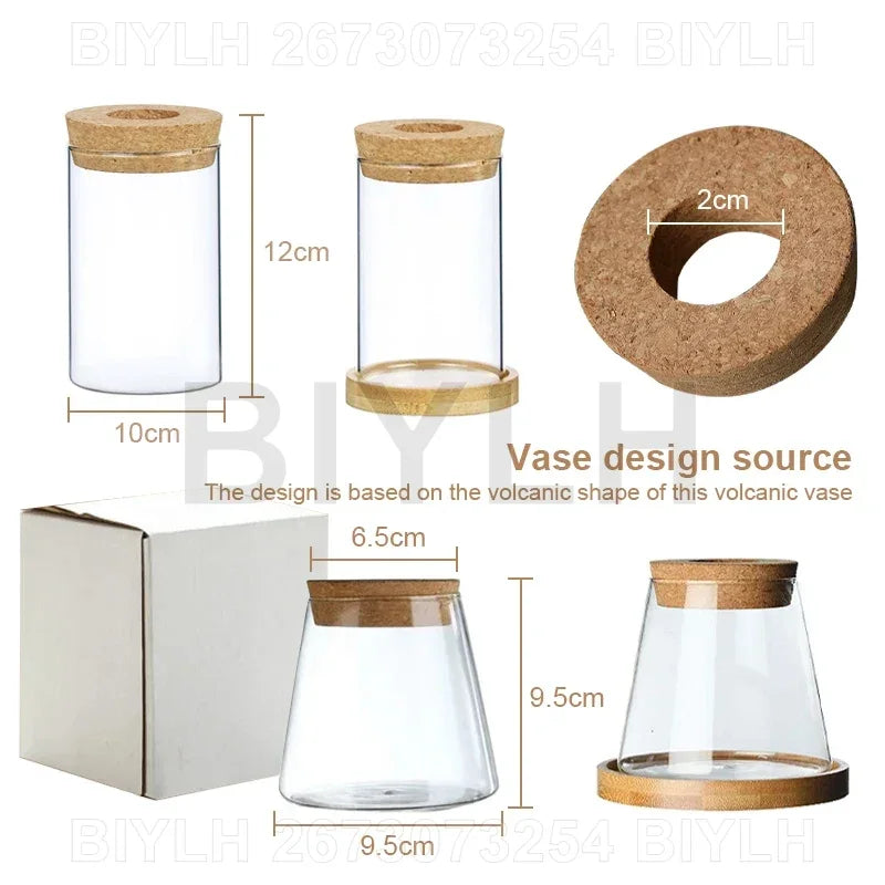 Nordic Hydroponic Plant Vase Creative Volcanic Bottle Transparent Glass Home Decor Vases Tabletop Flower Arrangement Ornaments