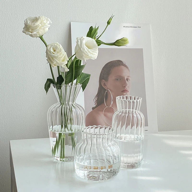 Glass Flower Vase Transparent Hydroponics Plant Vase Flower Bottle
Nordic Desktop Decor Vases Home Flowers Decoartion Crafts