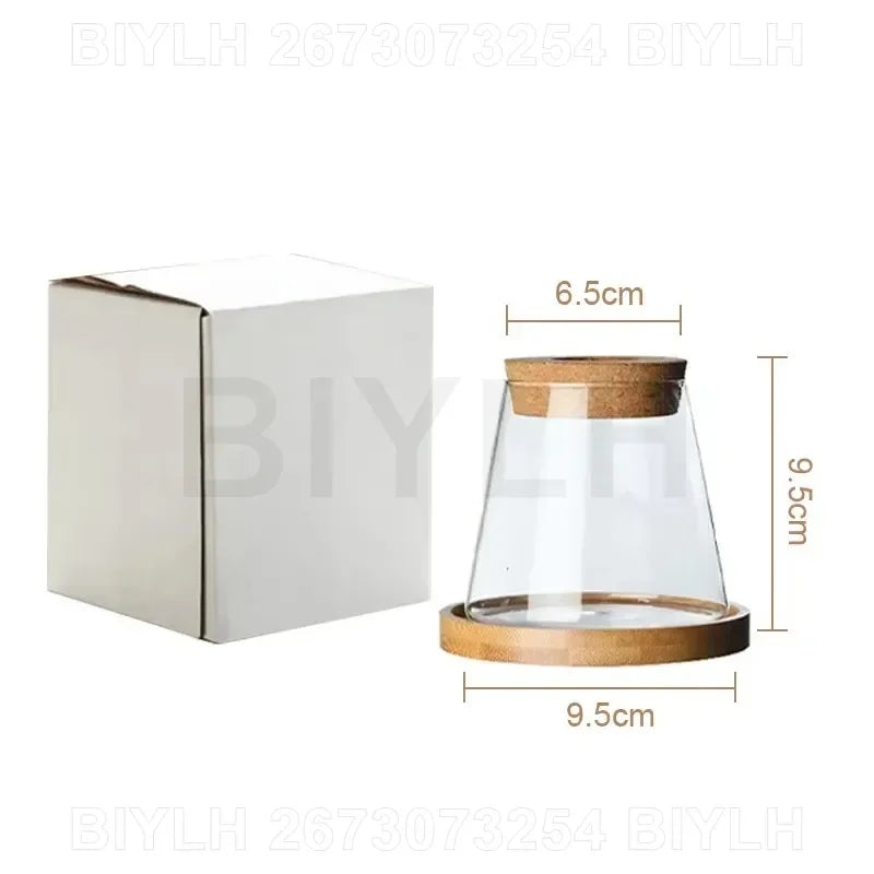 Nordic Hydroponic Plant Vase Creative Volcanic Bottle Transparent Glass Home Decor Vases Tabletop Flower Arrangement Ornaments
