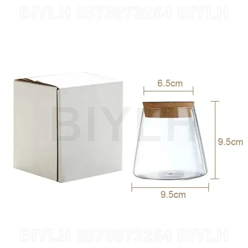 Nordic Hydroponic Plant Vase Creative Volcanic Bottle Transparent Glass Home Decor Vases Tabletop Flower Arrangement Ornaments