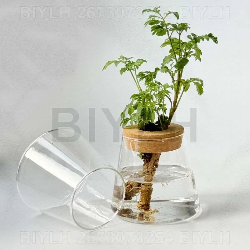 Nordic Hydroponic Plant Vase Creative Volcanic Bottle Transparent Glass Home Decor Vases Tabletop Flower Arrangement Ornaments