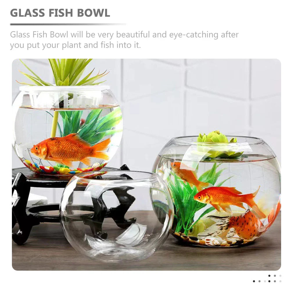 Round Glass Fish Bowl Home Aquarium Desktop Terrarium Small Tank Vase Planter Box Clear Keeper Garden Decor Vases