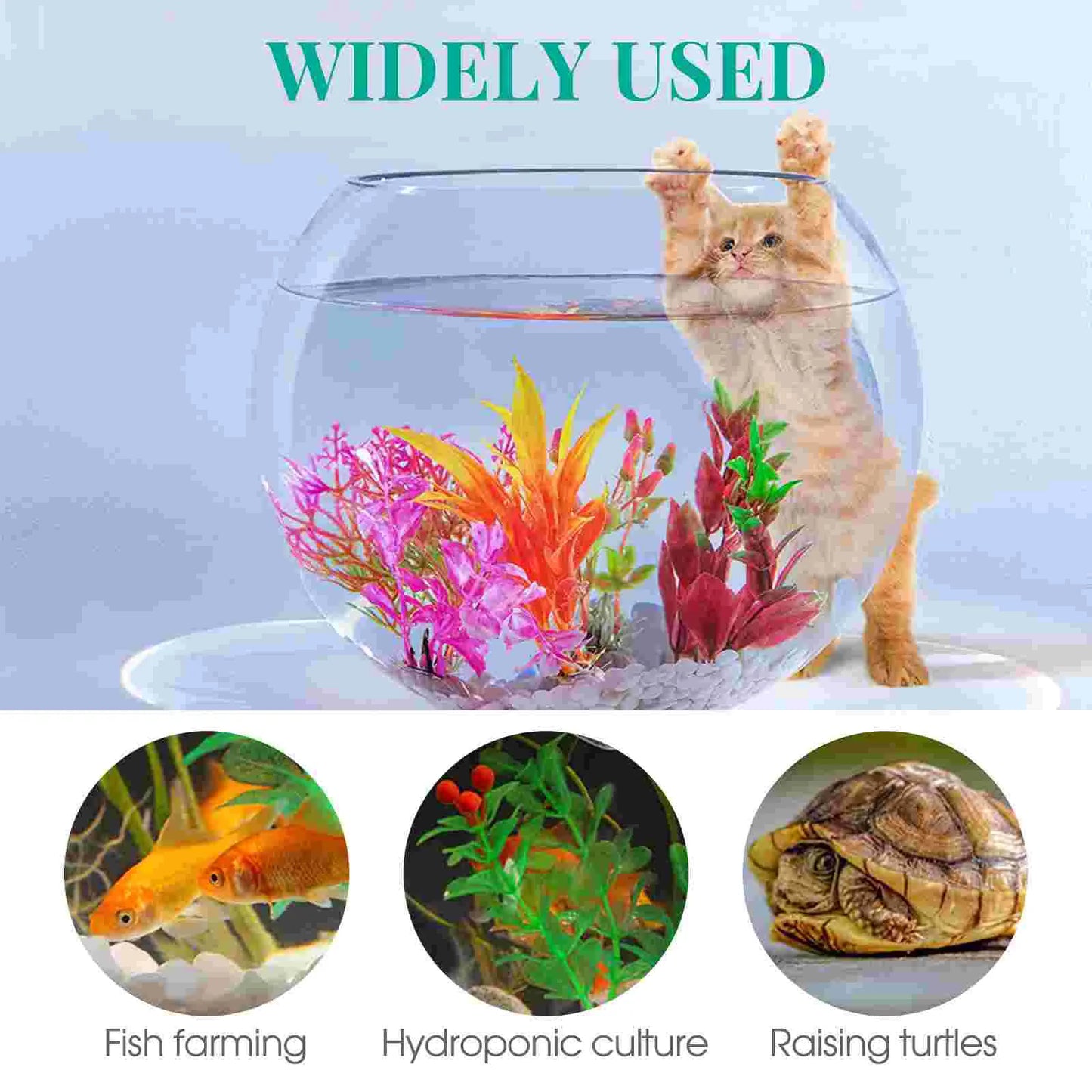 Round Glass Fish Bowl Home Aquarium Desktop Terrarium Small Tank Vase Planter Box Clear Keeper Garden Decor Vases