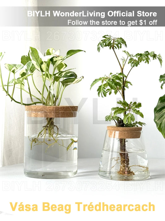 Nordic Hydroponic Plant Vase Creative Volcanic Bottle Transparent Glass Home Decor Vases Tabletop Flower Arrangement Ornaments