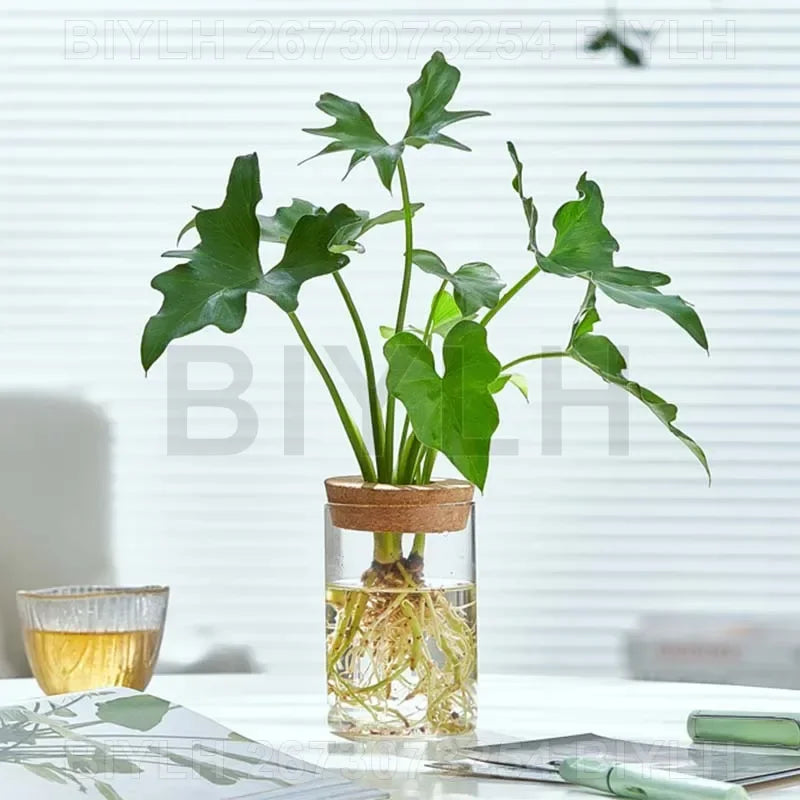 Nordic Hydroponic Plant Vase Creative Volcanic Bottle Transparent Glass Home Decor Vases Tabletop Flower Arrangement Ornaments
