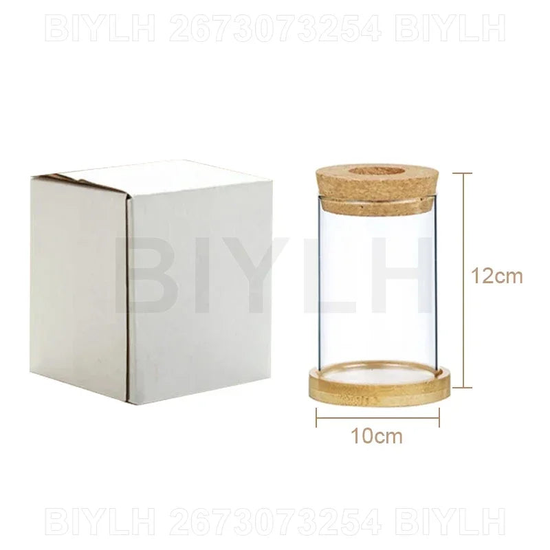 Nordic Hydroponic Plant Vase Creative Volcanic Bottle Transparent Glass Home Decor Vases Tabletop Flower Arrangement Ornaments