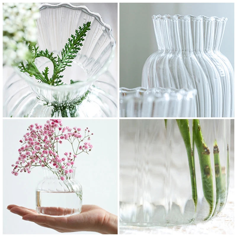 Glass Flower Vase Transparent Hydroponics Plant Vase Flower Bottle 
Nordic Desktop Decor Vases Home Flowers Decoartion Crafts