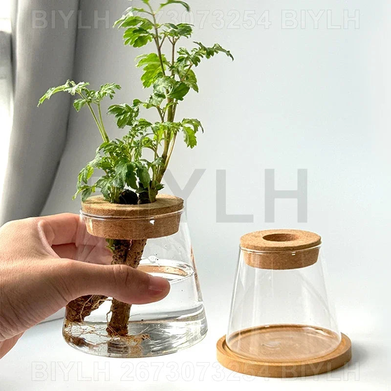 Nordic Hydroponic Plant Vase Creative Volcanic Bottle Transparent Glass Home Decor Vases Tabletop Flower Arrangement Ornaments